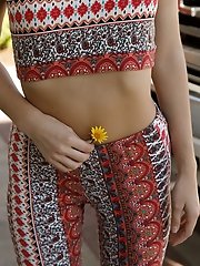 8 pictures - Dallas Mills Yogurt Pants Encore